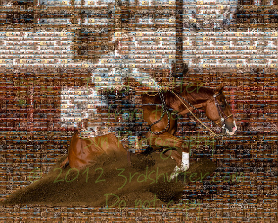 BN1C0846-Edit-2