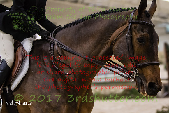 0M3A0256
