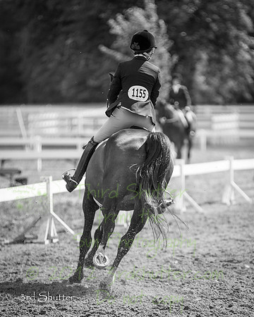 F43Q2588