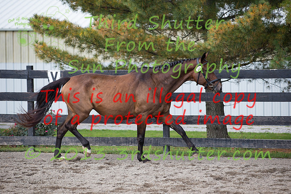 F43Q9385