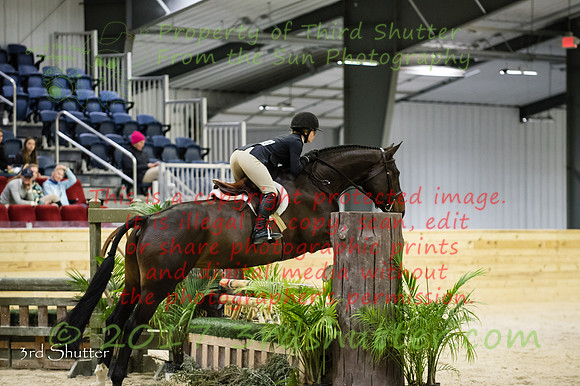 _1SF2012