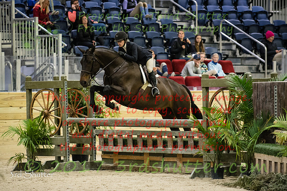 _1SF2013