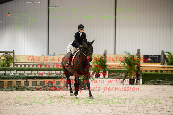 _1SF2011