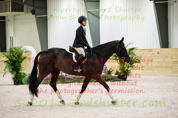 _SF11773