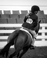 F43Q1302