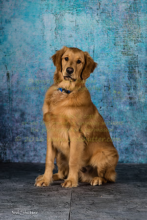 A18I2178