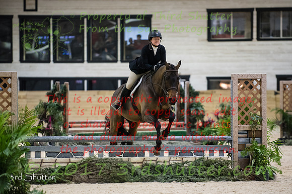 _1SF1393
