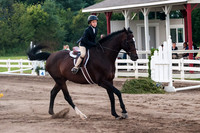 130817_WalkTrotClassic_0559