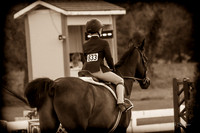 130817_WalkTrotClassic_0554