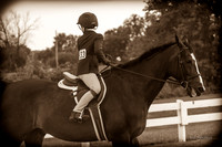 130817_WalkTrotClassic_0304