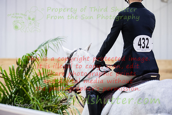 _1SF0710