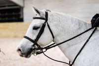 _1SF0709
