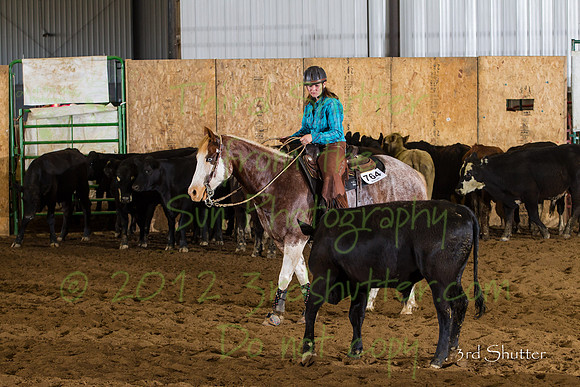 BN1C0340