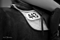 0E5A3099