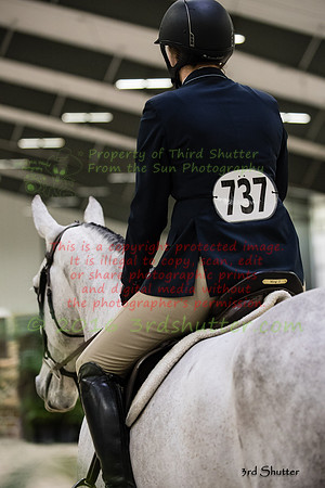 _1SF1788
