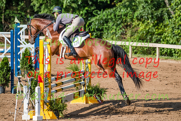 IMG_8822