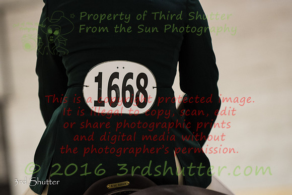 _1SF3596