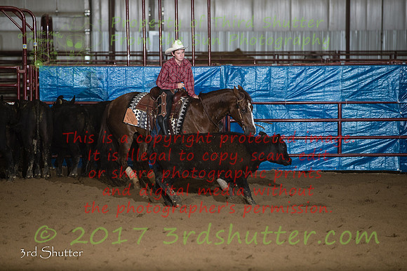 A18I0371