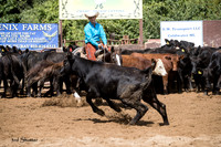 A18I0376