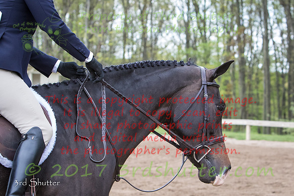 0E5A8384