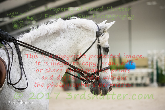 _1SF4020