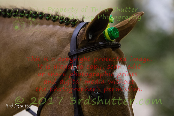 0E5A8195