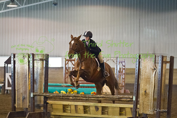 BN1C1495
