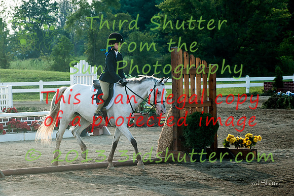 130817_WalkTrotClassic_0133