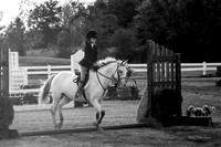 130817_WalkTrotClassic_0132