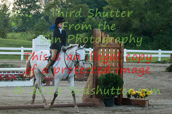 130817_WalkTrotClassic_0233