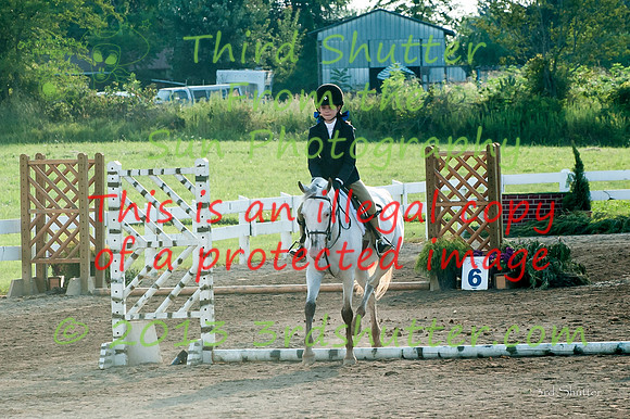 130817_WalkTrotClassic_0130