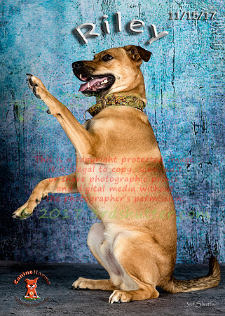 A18I8138-Edit-Edit