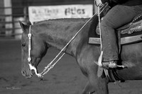 IMG_1293