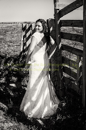 F43Q3795-Edit
