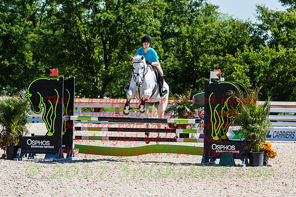 0M3A0334