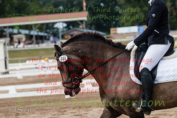 IMG_5026