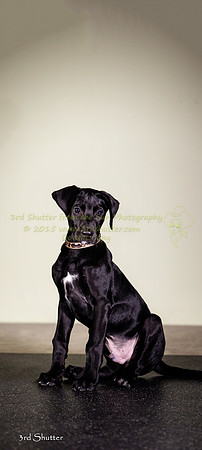 F43Q0309-Edit-2-Edit