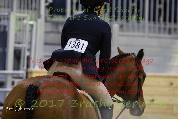 0E5A4353