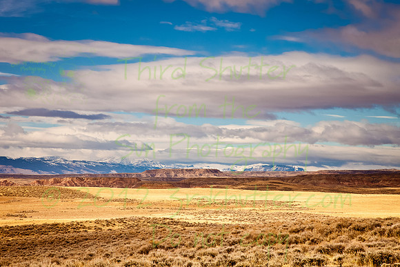 _MG_2599