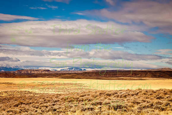 _MG_2600