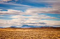 _MG_2607