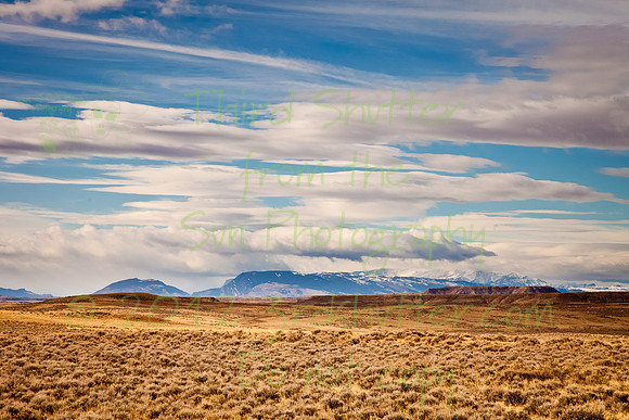 _MG_2607