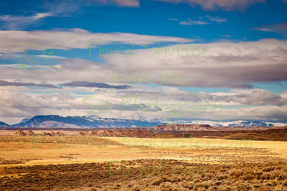 _MG_2598