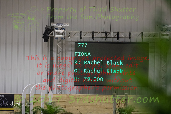 BV2A0155