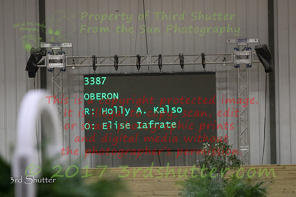 0M3A8386