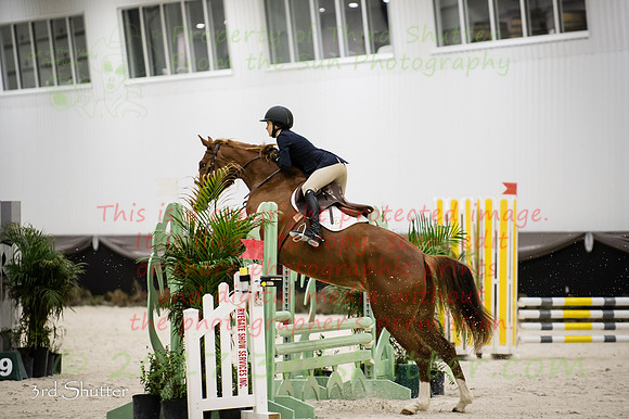 _1SF4784