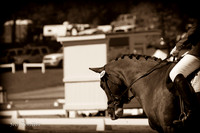 IMG_2960-2