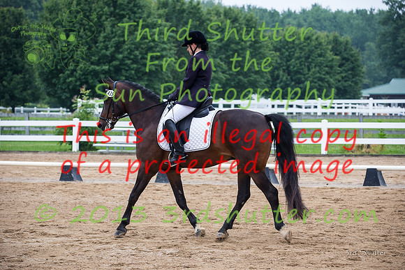 F43Q1388