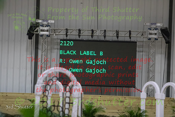 0E5A6343