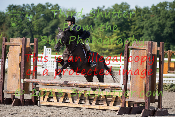 F43Q1384